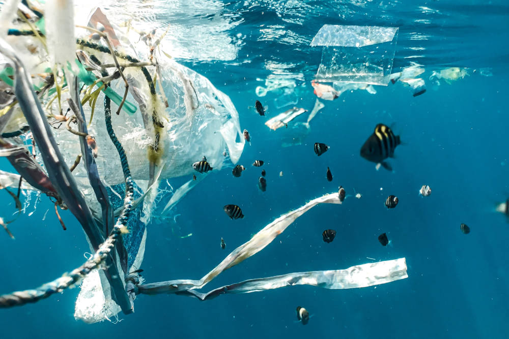 60+ Major Companies Sign ‘Radical’ Deal to Dramatically Reduce Plastic Waste in Just 4 Years