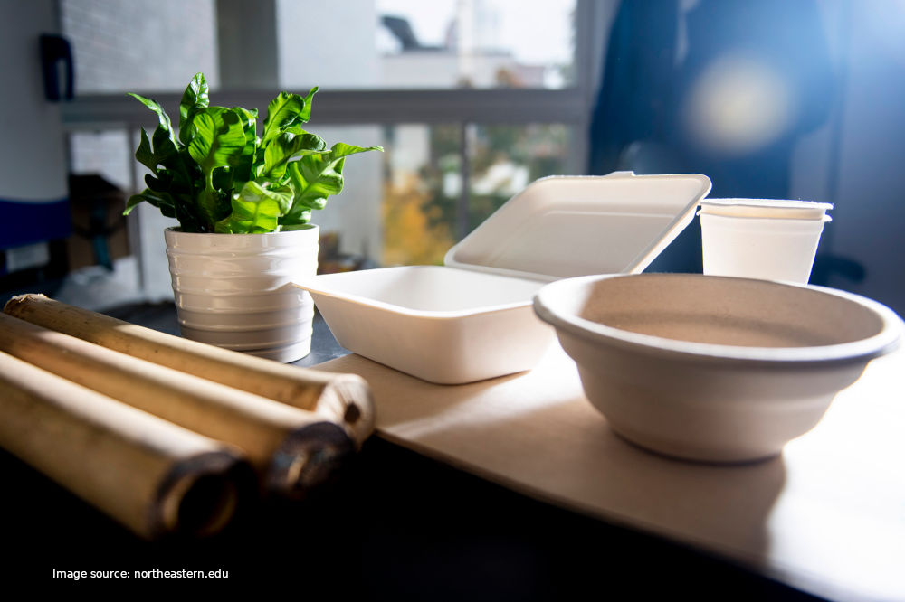 Biodegradable Tableware From Sugar and Bamboo - As Cheap as Plastic