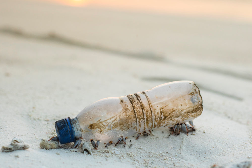 mexico-plastic-lastavica.jpg